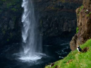 faroe_07