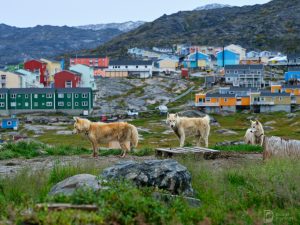 greenland_21