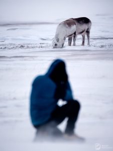 svalbard_10