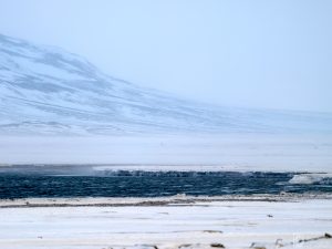 svalbard_16
